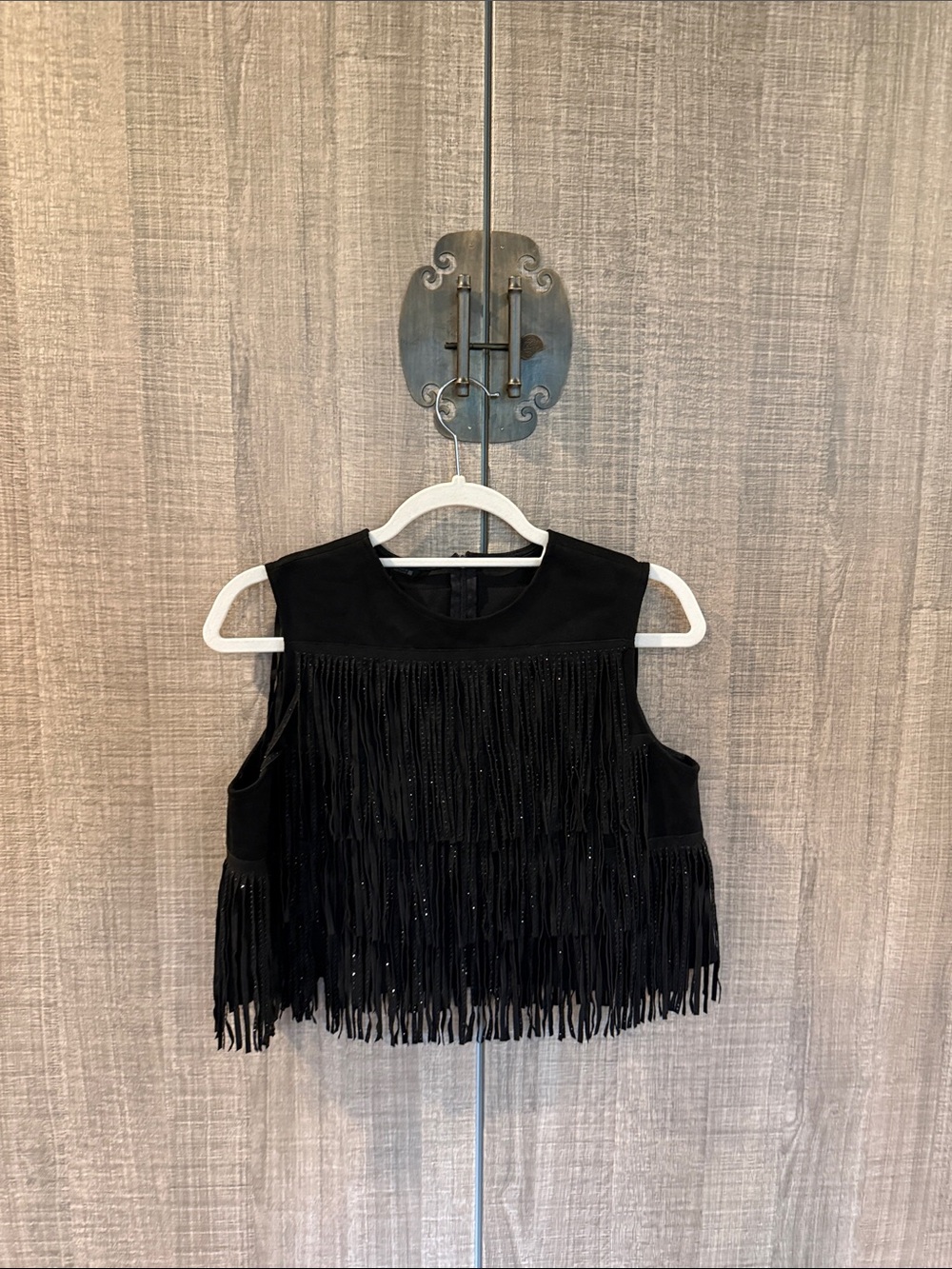 Zara Fringe Faux Suede Top